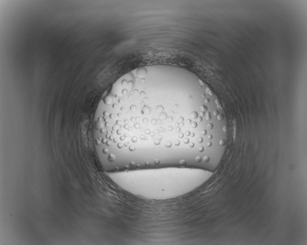 X0000063531059200601201146