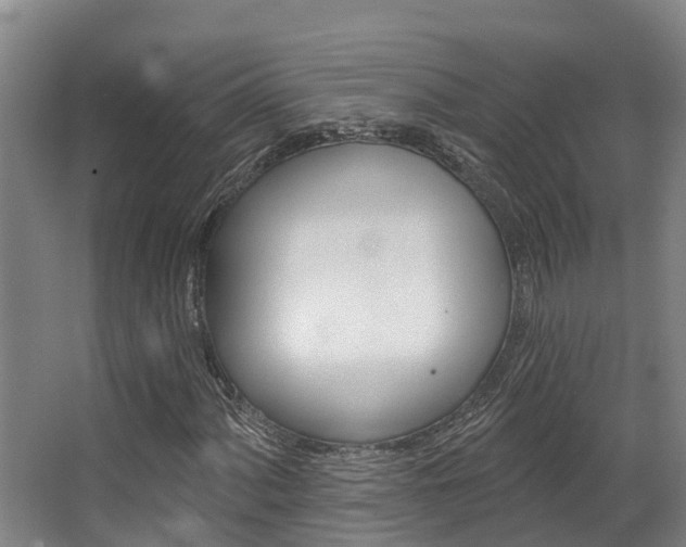 X0000063531060200601201146