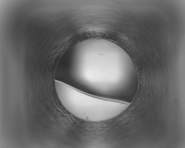 X0000063531061200601201146
