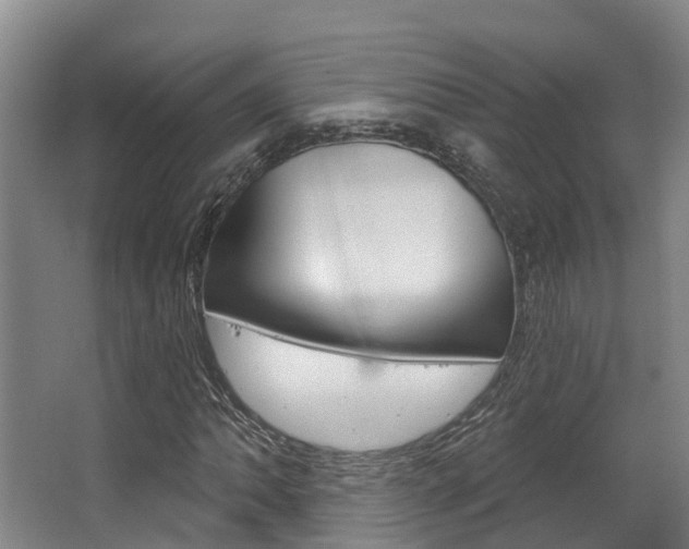 X0000063531062200601201146