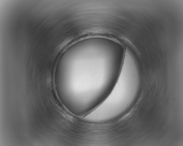 X0000063531065200601201145