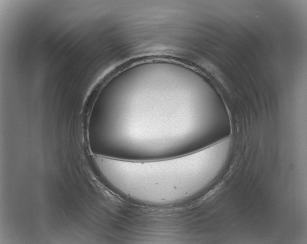 X0000063531069200601201145