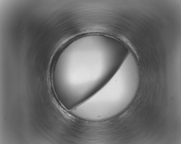X0000063531072200601201145