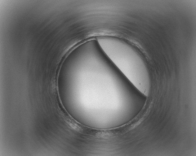 X0000063531073200601201145