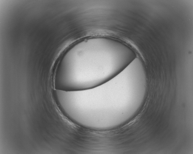 X0000063531075200601201145
