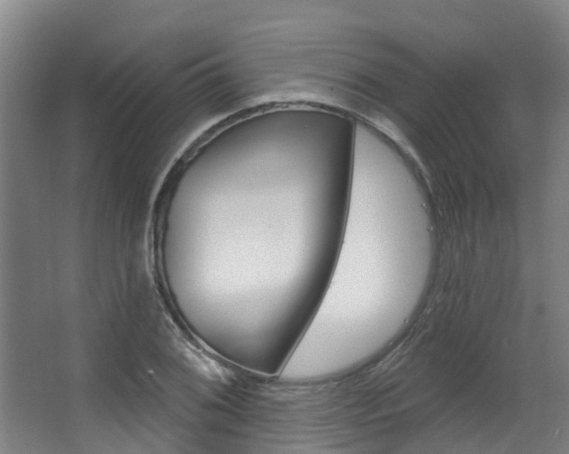 X0000063531076200601201145