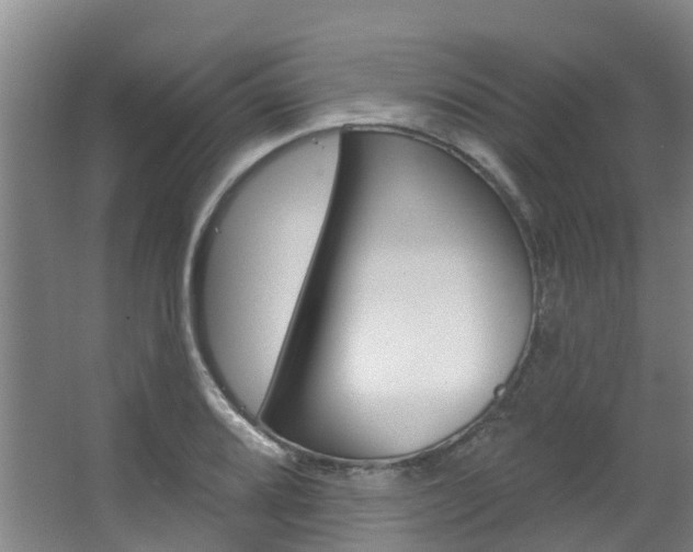X0000063531080200601201145