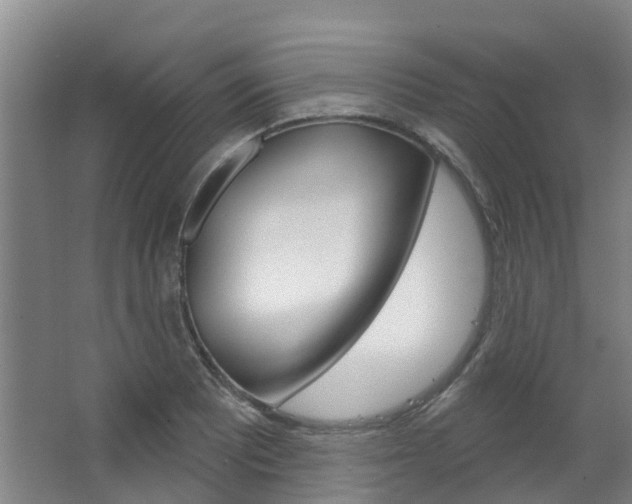 X0000063531081200601201145