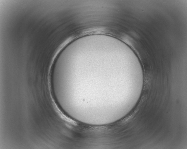X0000063531090200601201145