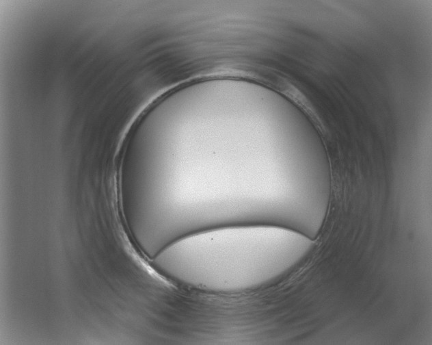 X0000063531092200601201145