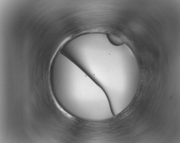 X0000063531095200601201145