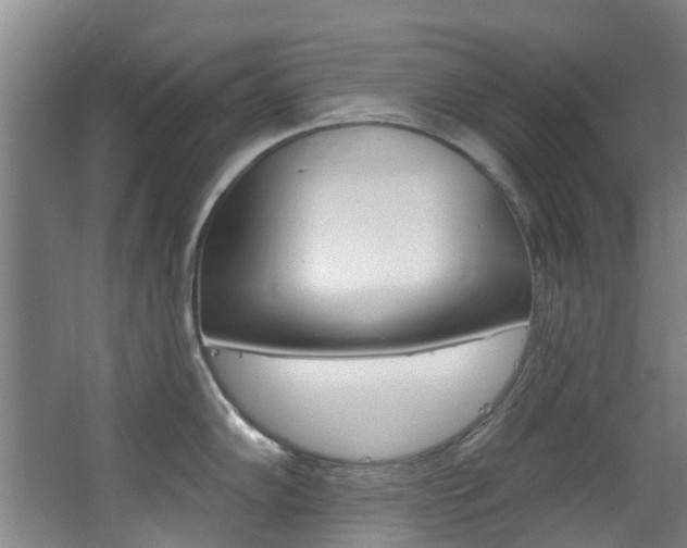 X0000063531102200601201145