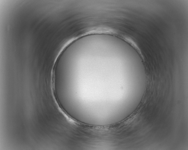 X0000063531103200601201145