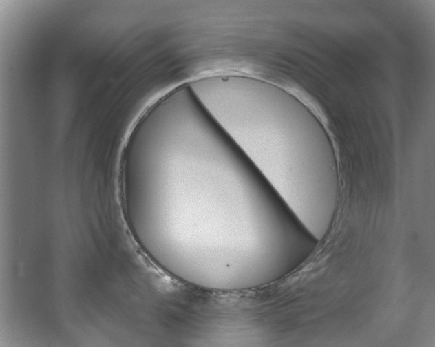 X0000063531104200601201145