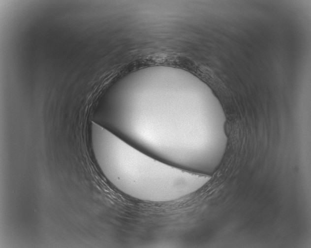 X0000063531105200601201144