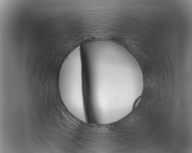 X0000063531106200601201144
