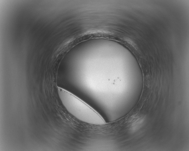 X0000063531111200601201144