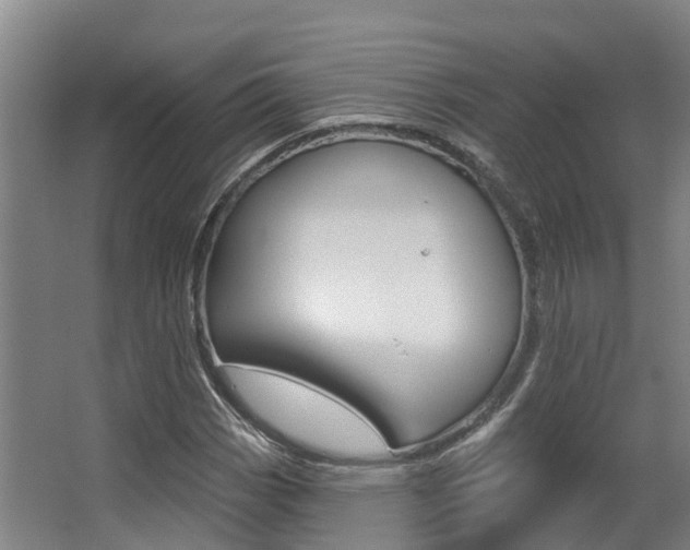 X0000063531113200601201144