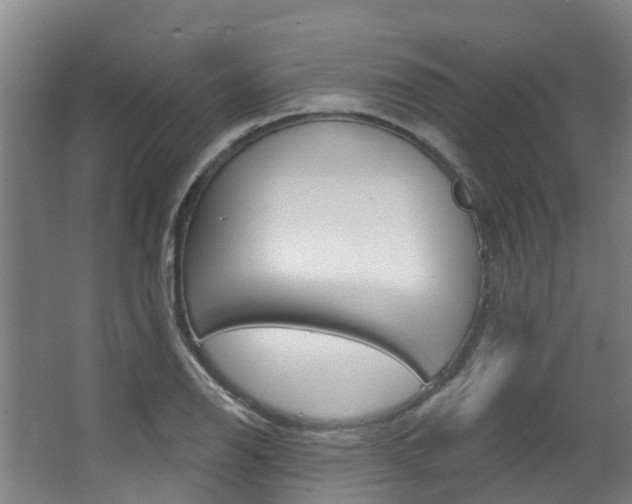 X0000063531126200601201144