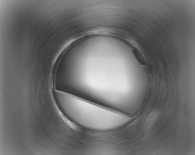 X0000063531131200601201144