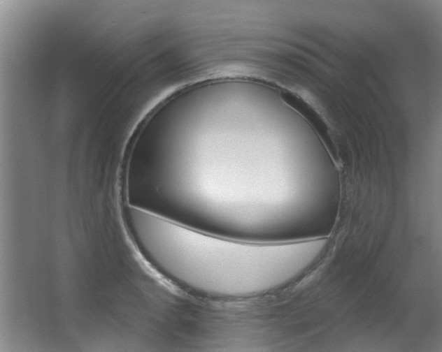 X0000063531134200601201144