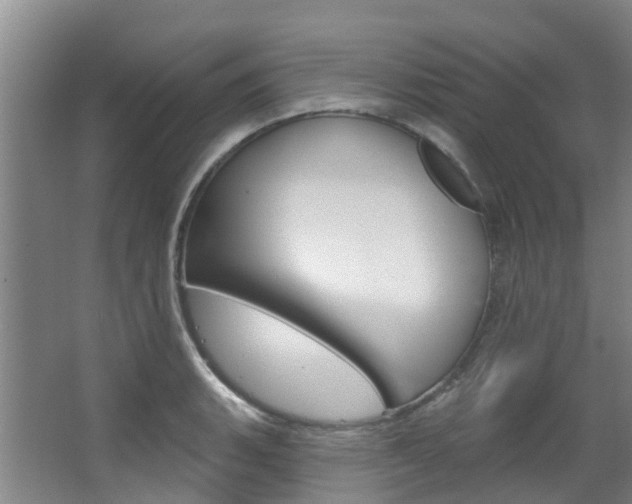 X0000063531135200601201145
