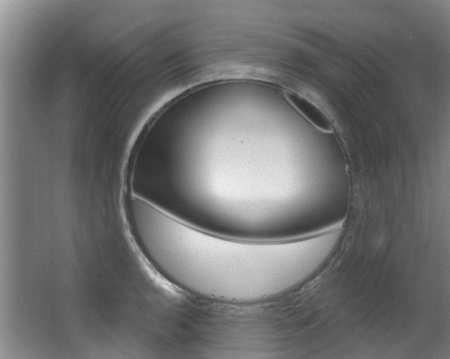 X0000063531136200601201145