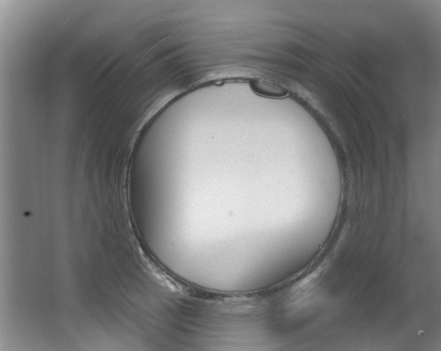 X0000063531137200601201145
