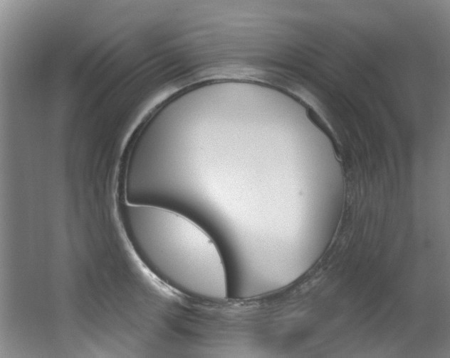 X0000063531139200601201145
