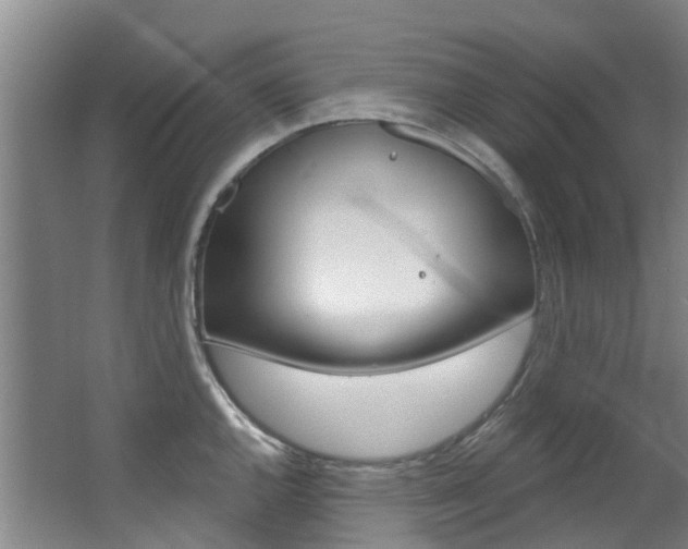 X0000063531144200601201145