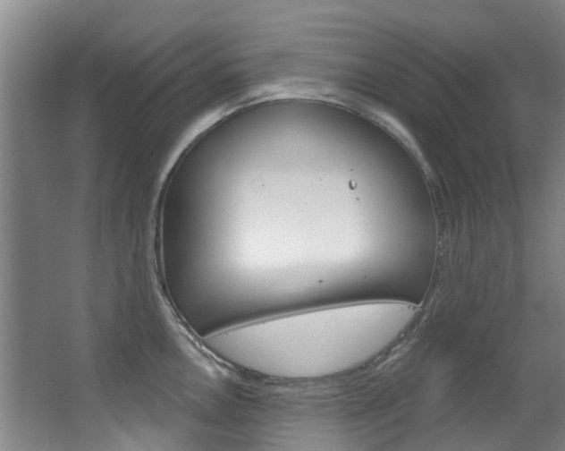 X0000063531146200601201145