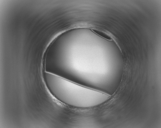 X0000063531147200601201145