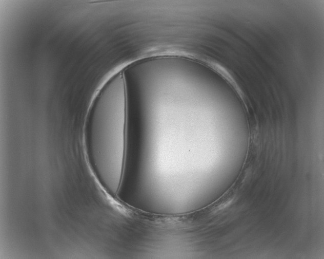 X0000063531149200601201145