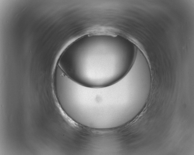 X0000063531152200601201145