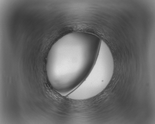X0000063531153200601201144