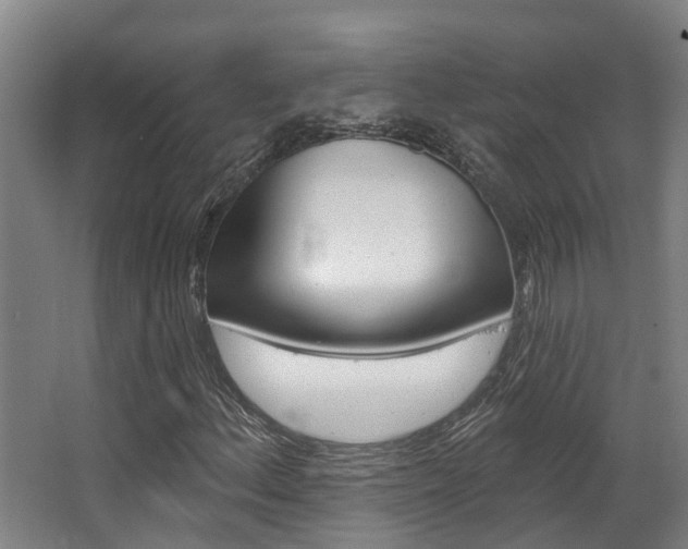 X0000063531156200601201144