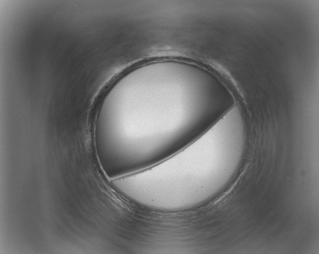 X0000063531167200601201144