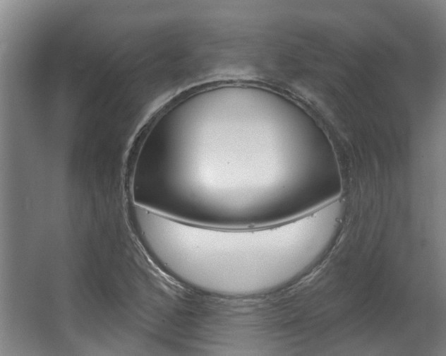 X0000063531168200601201144