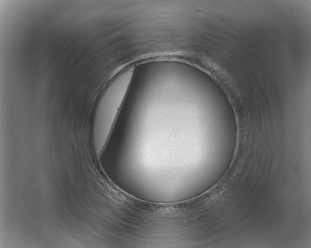 X0000063531169200601201144