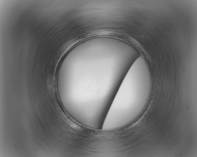 X0000063531178200601201144