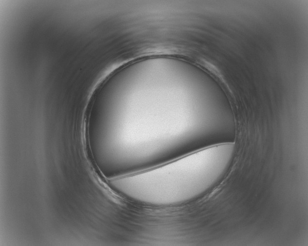 X0000063531179200601201144