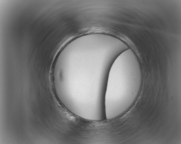 X0000063531190200601201143