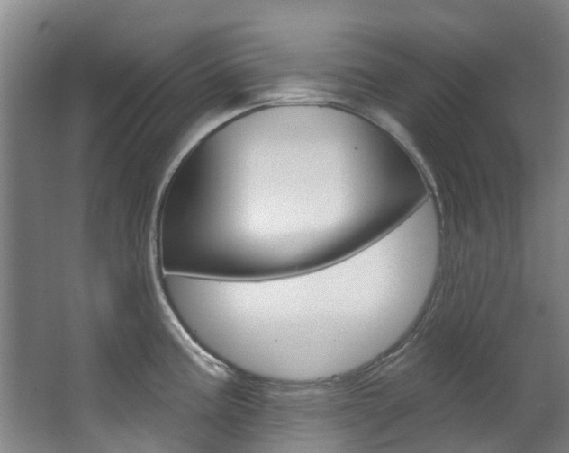 X0000063531195200601201143