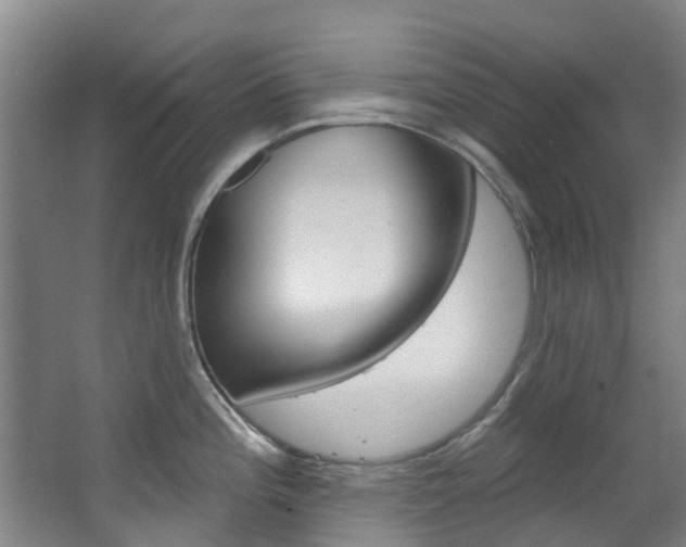 X0000063531196200601201143