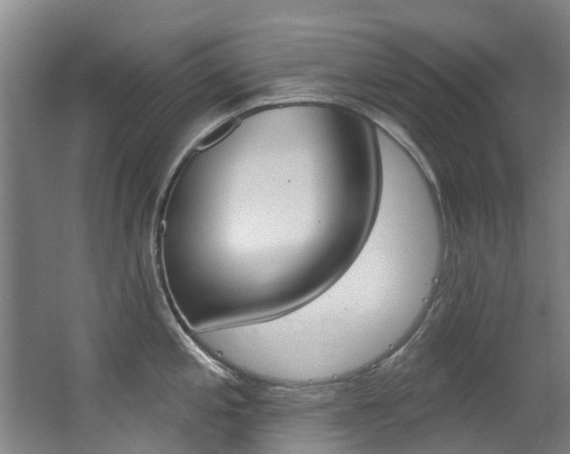 X0000063531197200601201143