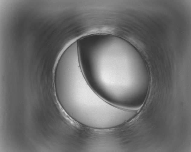 X0000063531200200601201143