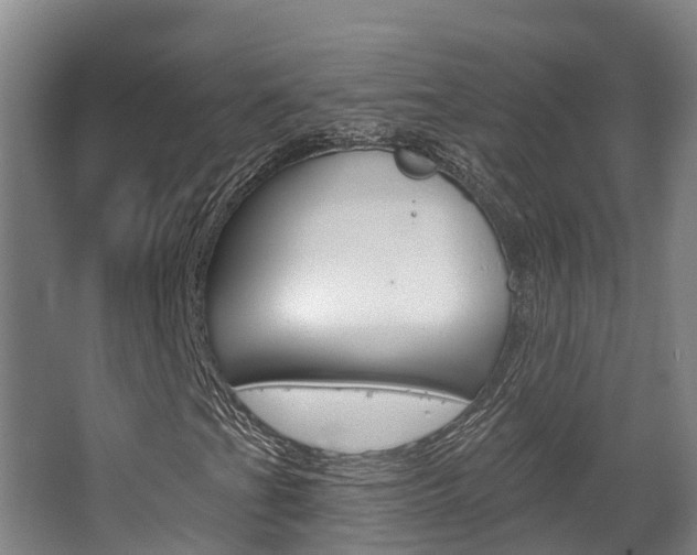 X0000063531201200601201142