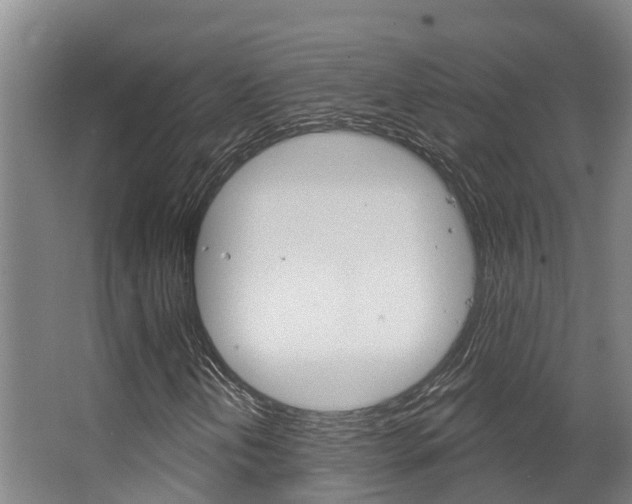 X0000063531202200601201142