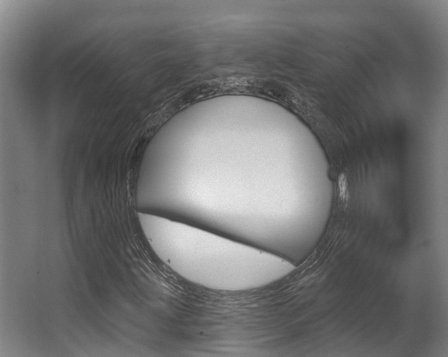 X0000063531203200601201142