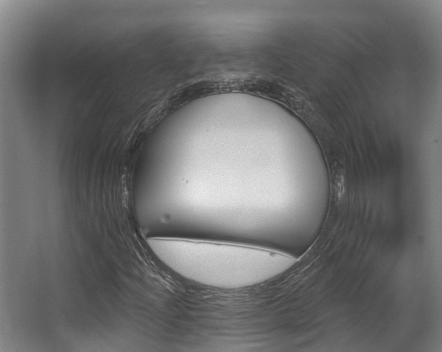 X0000063531204200601201142